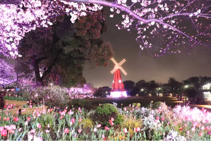 花と光のムーブメント 浮間公園×チューリップ