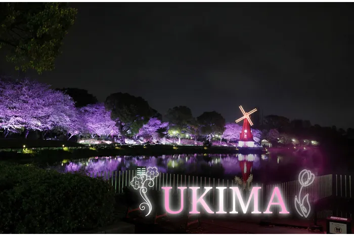 花と光のムーブメント　浮間公園×チューリップ_4