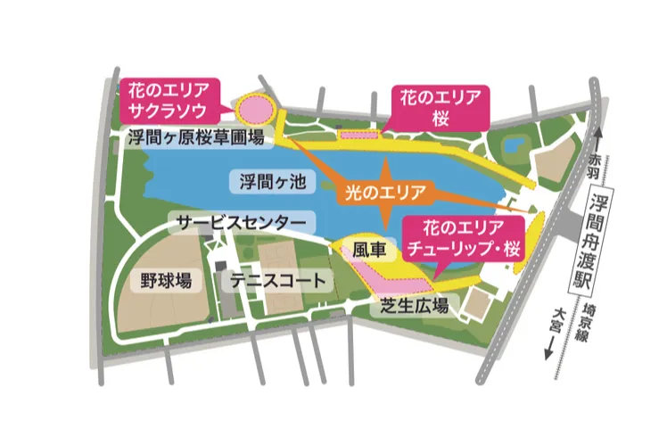 花と光のムーブメント　浮間公園×チューリップ_7