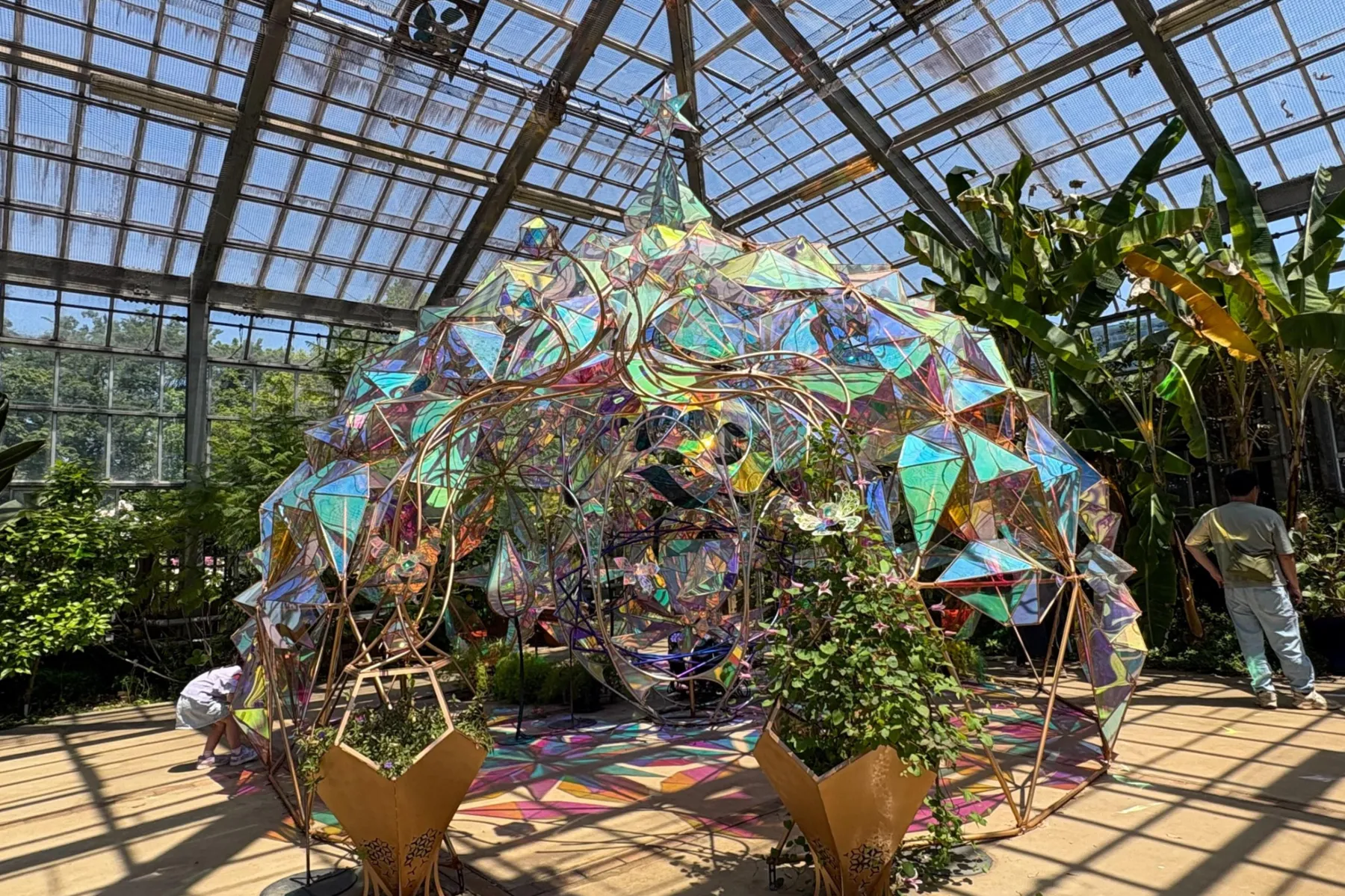 京成バラ園｢パレット オブ カーニバル」_7