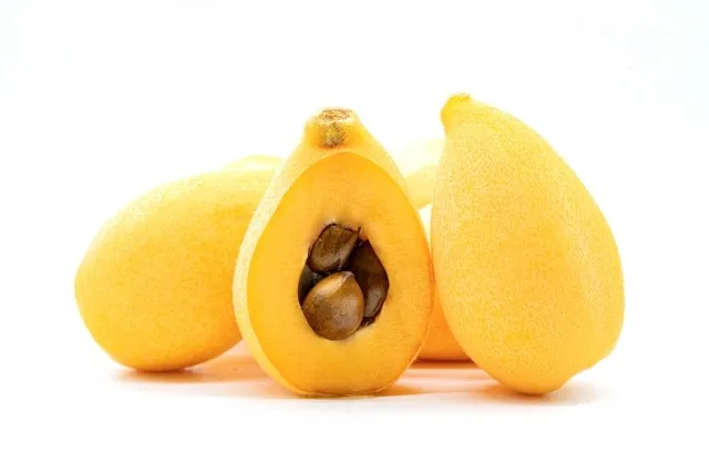 科学バー・くだもの編vol.5