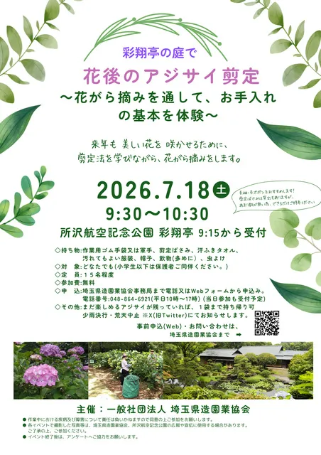 所沢航空記念公園　アジサイの花がら摘み