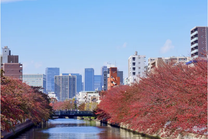 Autumn in TOKYO_2