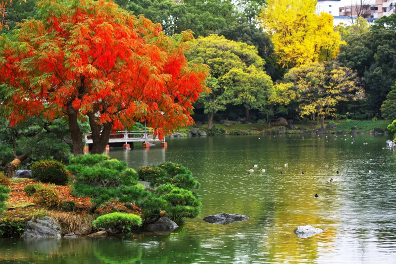 Autumn in TOKYO_3