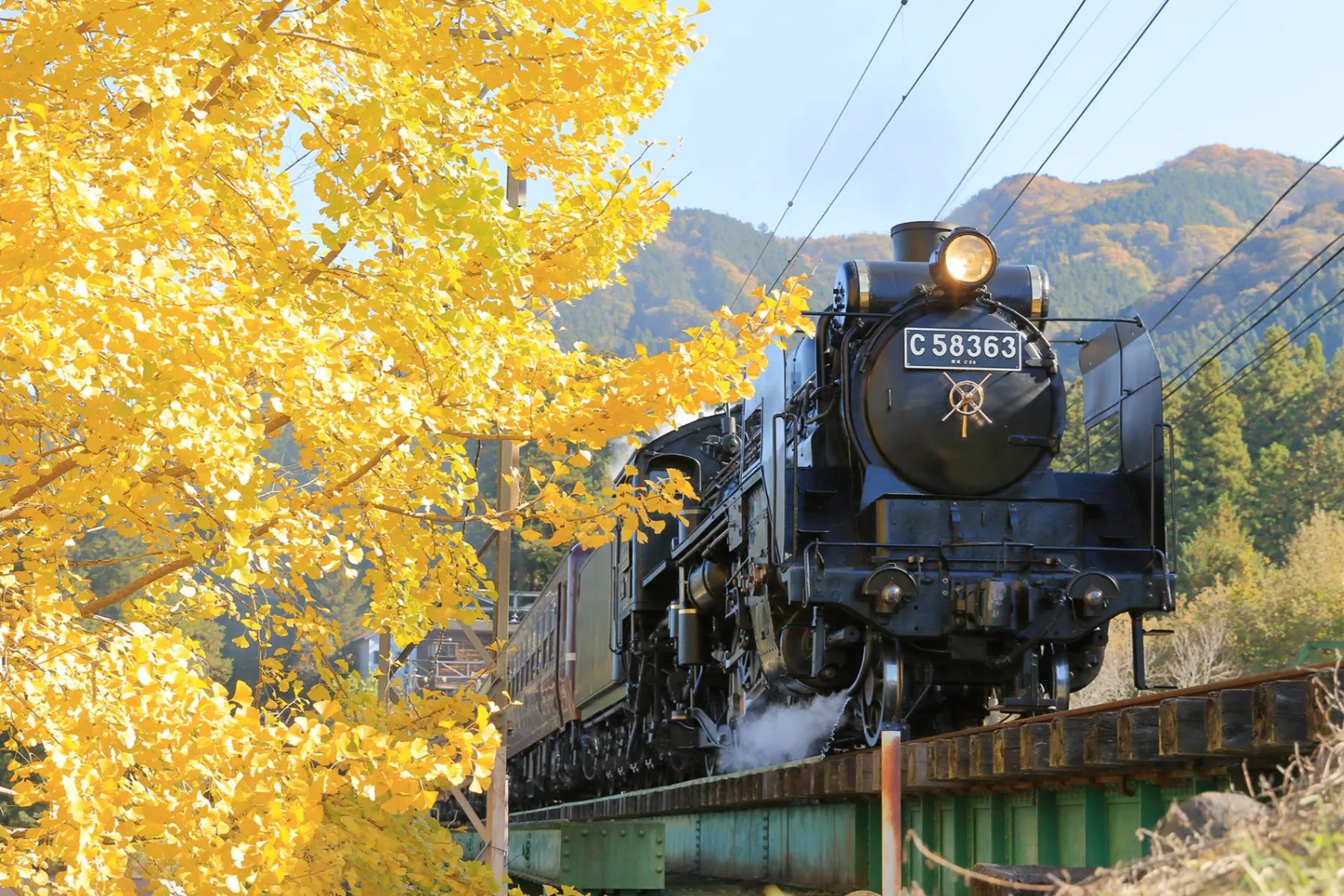 長瀞駅の紅葉情報_2
