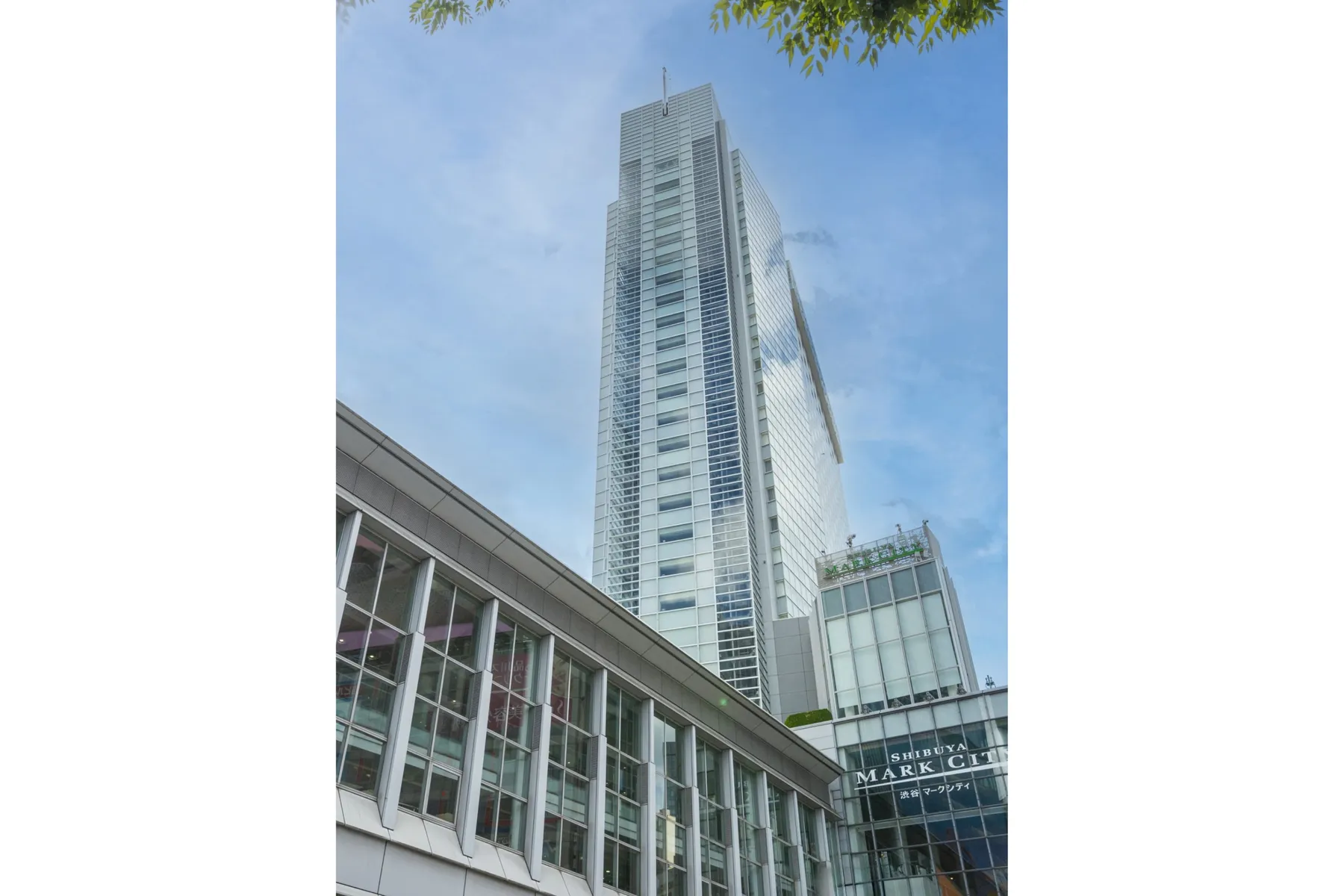 SHIBUYA HAWAIIAN 2026_7