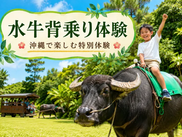期間限定　水牛背乗り体験