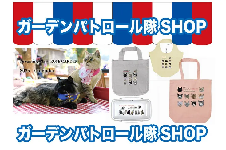 秋の納屋バザール_3