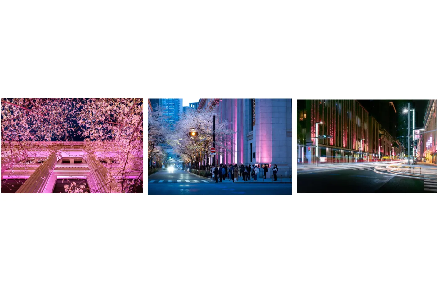 SAKURA FES NIHONBASHI 2026_15