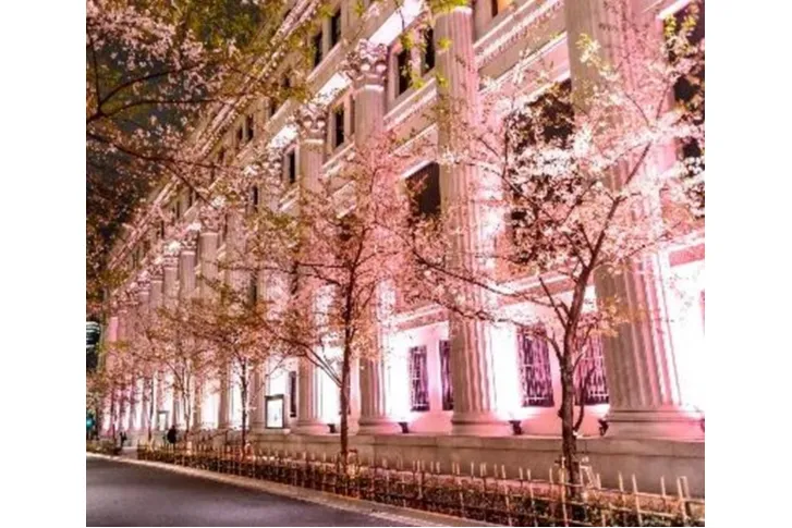 SAKURA FES NIHONBASHI 2025_1