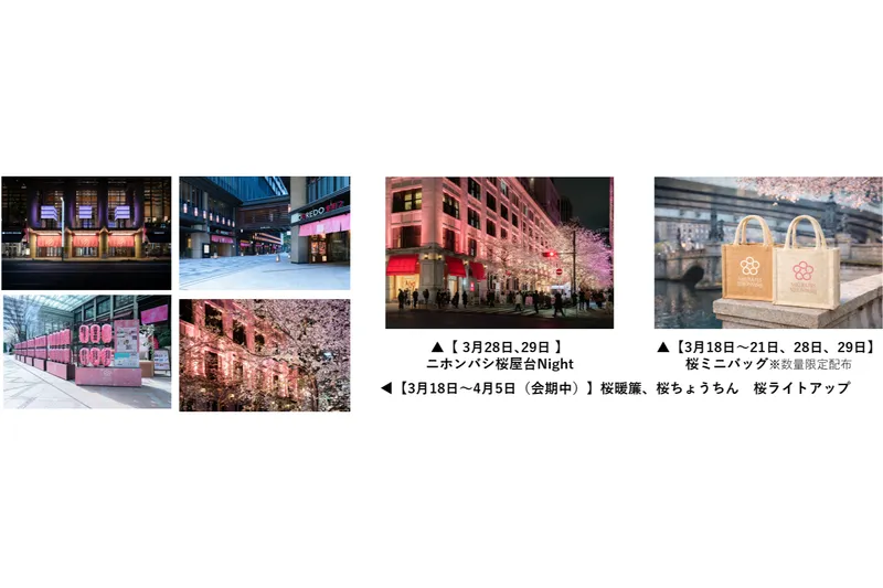 SAKURA FES NIHONBASHI 2026_6