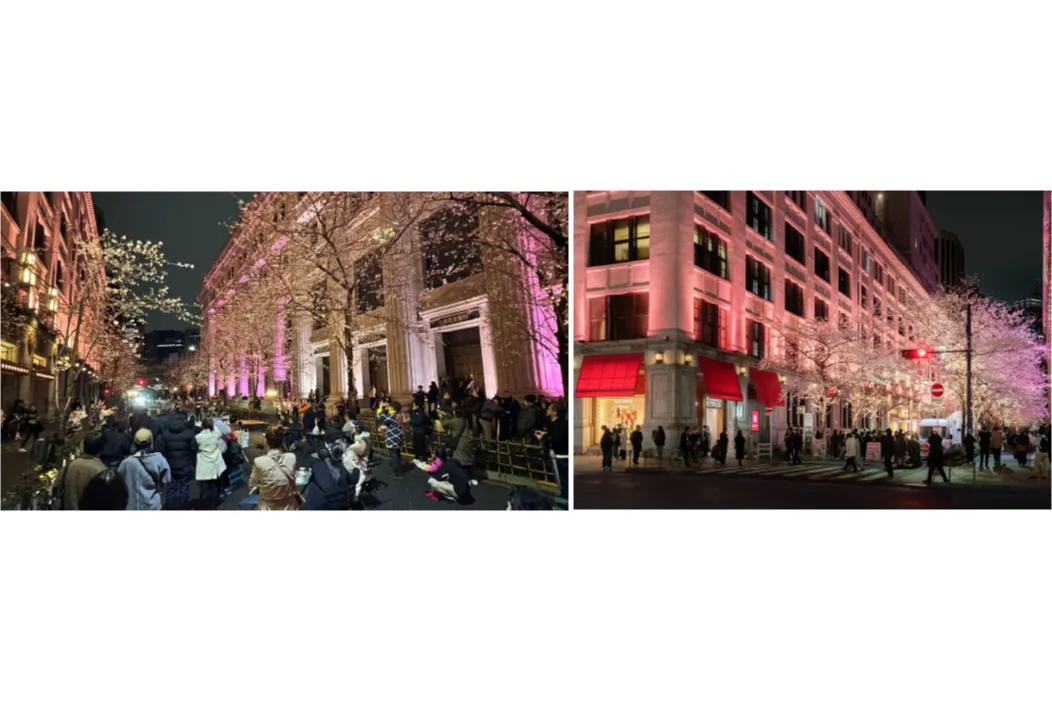 SAKURA FES NIHONBASHI 2026_9