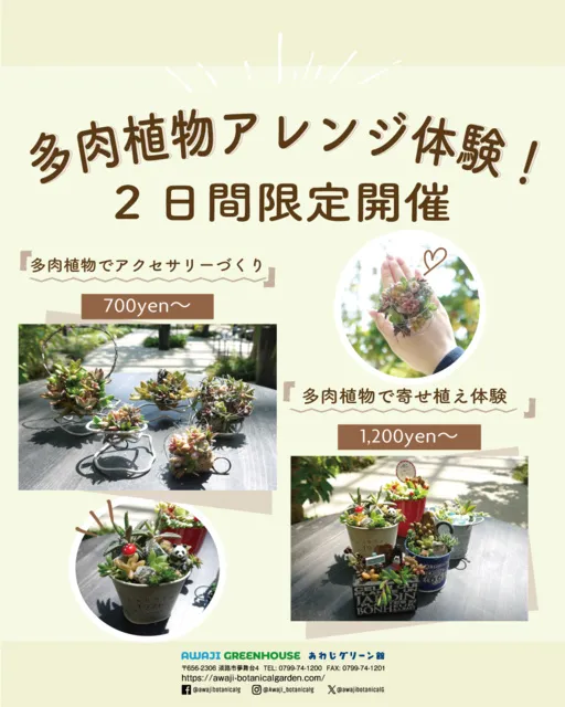 ぷっくり可愛い多肉植物を使って、小さなアレンジを作ろう！
