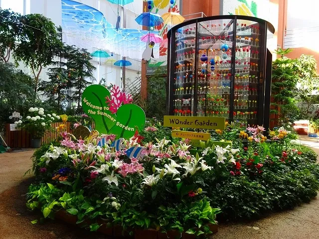 季節展示「夏の庭」_1