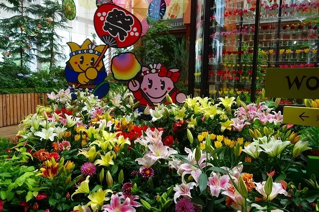 季節展示「夏の庭」