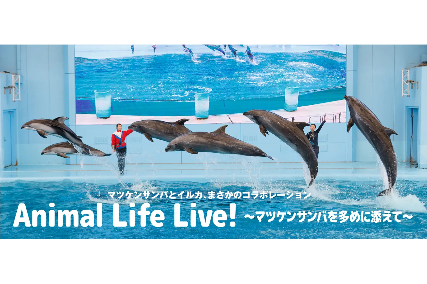マツケンまみれまみれ島 夏の陣_10