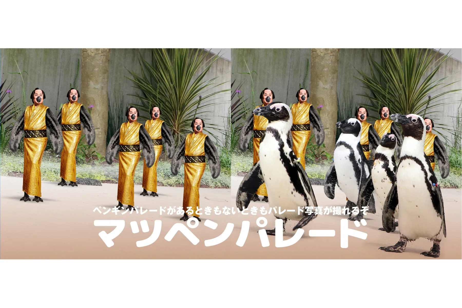 マツケンまみれまみれ島 夏の陣_9