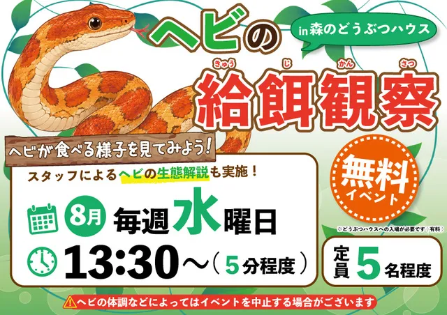 ヘビの給餌観察