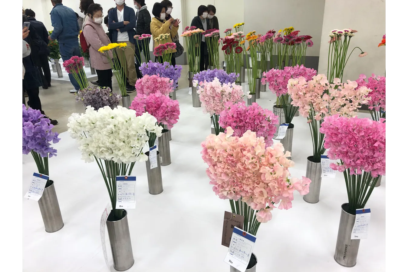 関東東海花の展覧会_5
