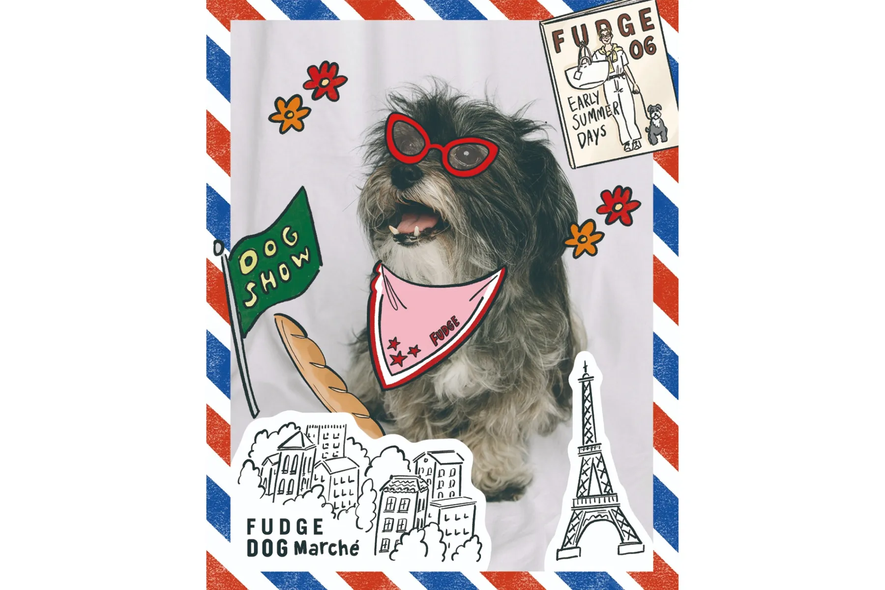 FUDGE DOG Marché_4