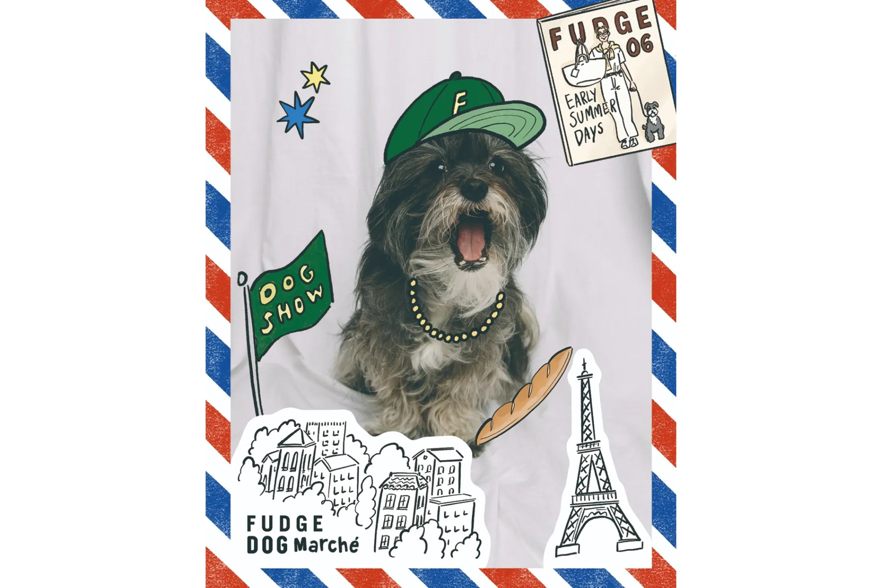 FUDGE DOG Marché_5