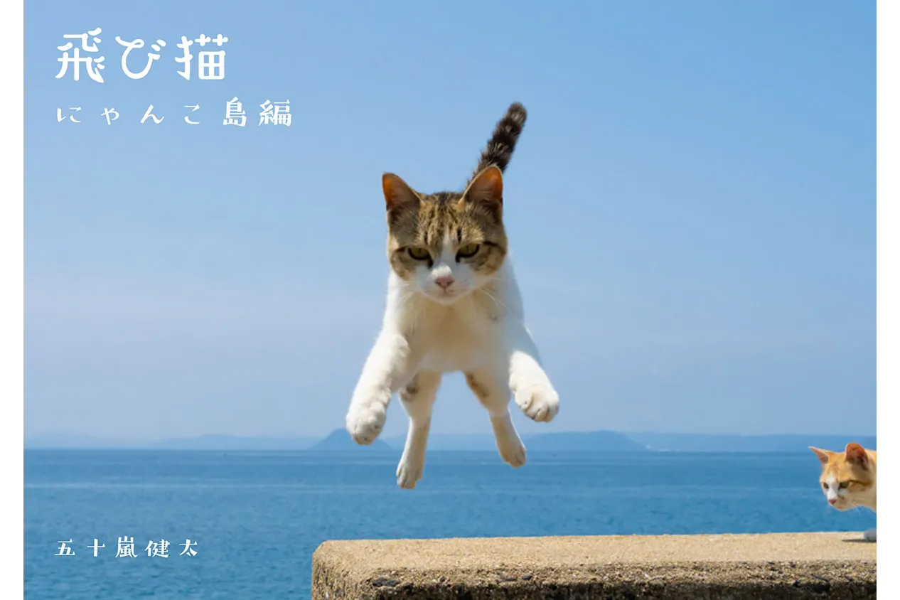 五十嵐 健太「飛び猫写真展」_2