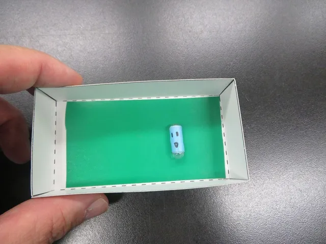 ふしぎな動きのコロコロカプセル