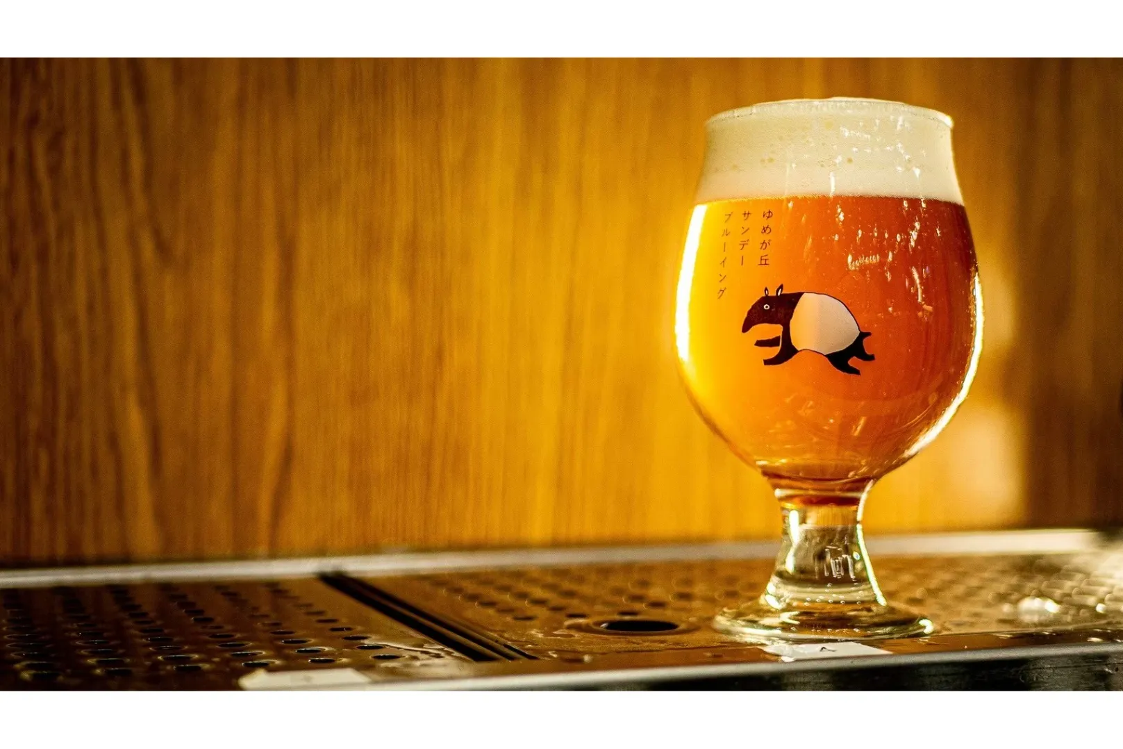 うみちかマルシェ ～6月の海とクラフトビールと～_2