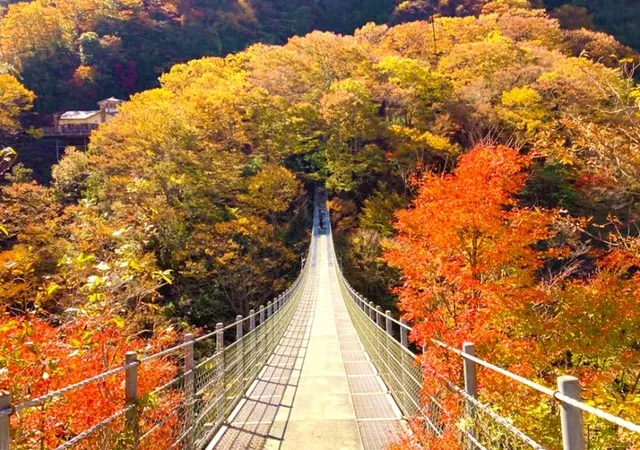 【紅葉・見ごろ】龍宮崖公園