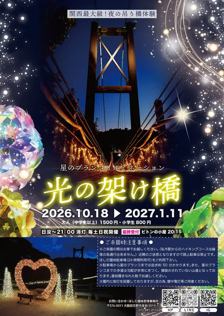 星のブランコイルミネーション『光の架け橋』