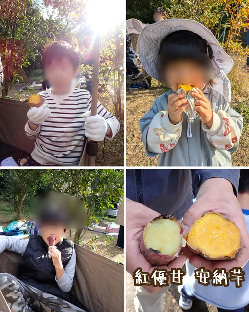 極上「紅優甘」の焼き芋・スイーツ作り
