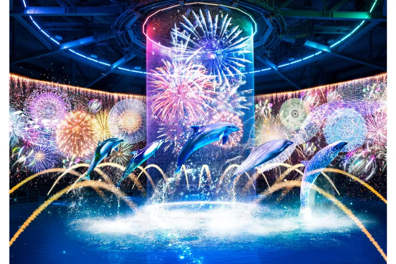 瑠璃花火-Digital Fireworks- ※イメージ