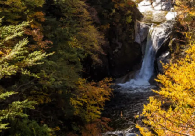 【紅葉・見ごろ】尾白川渓谷