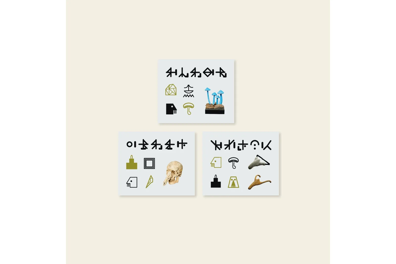調査型展示「地図にない国 パンジャ王国展」​_14