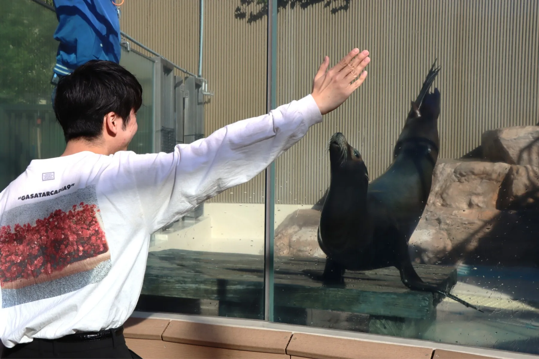 サンシャイン水族館「プレミアム福袋」_1