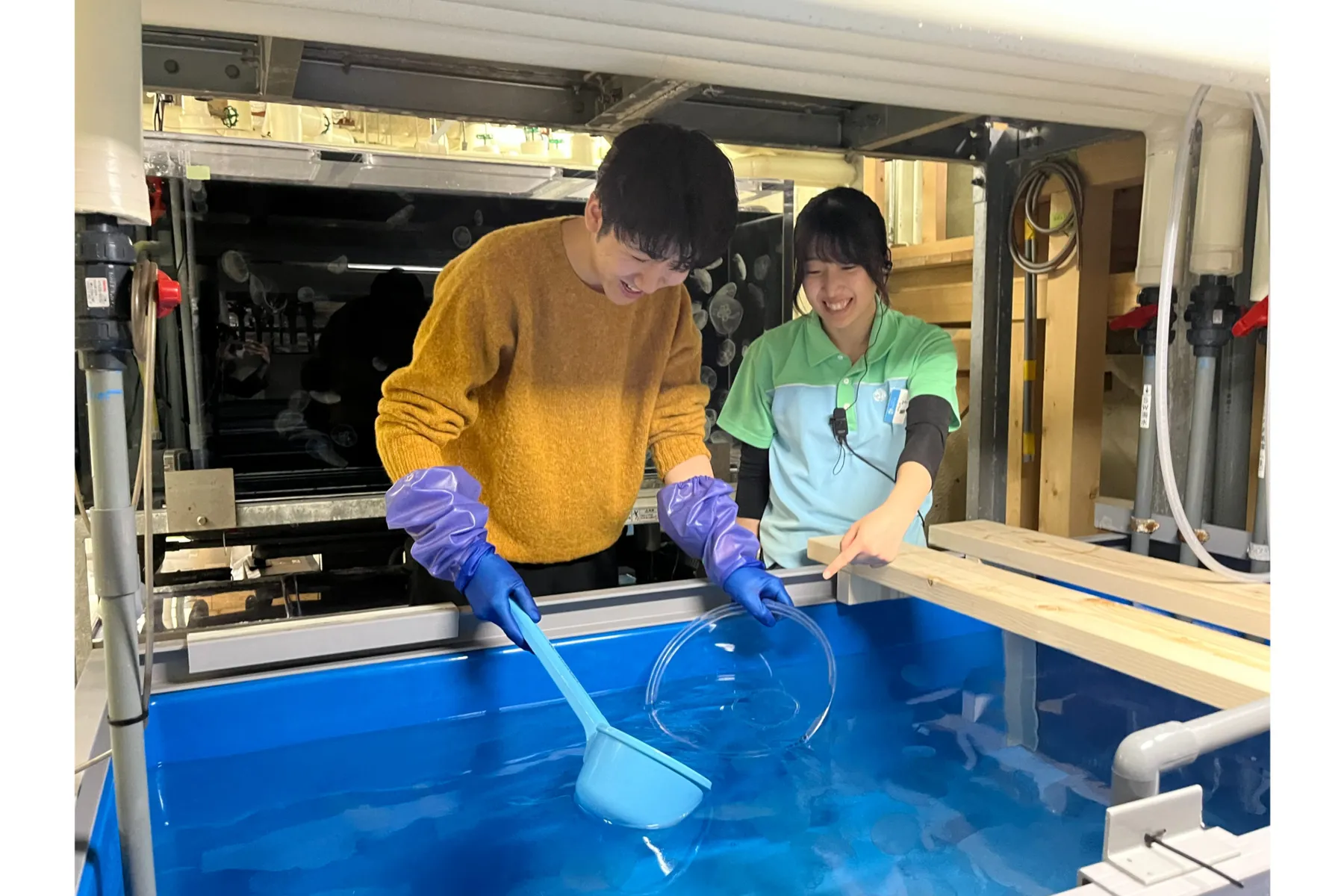サンシャイン水族館「プレミアム福袋」_2