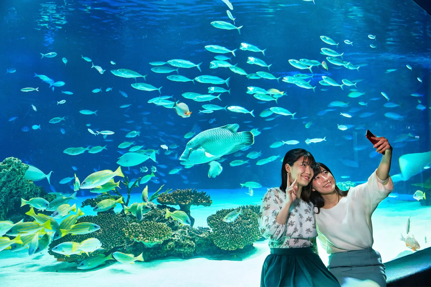 サンシャイン水族館「プレミアム福袋」_4