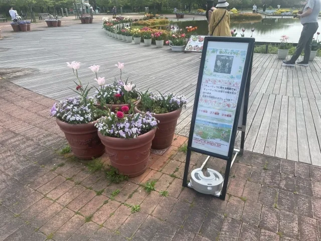 春のクイズラリー