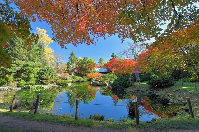 【紅葉・見ごろ】真鍋庭園_1