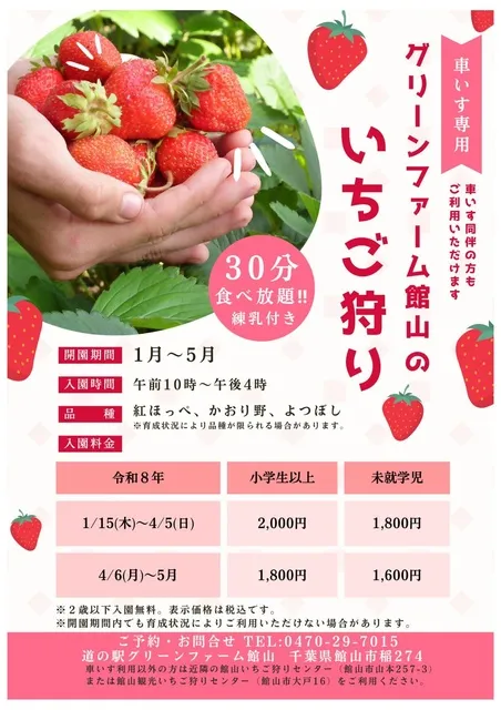 車いす専用　いちご狩り／道の駅グリーンファーム館山