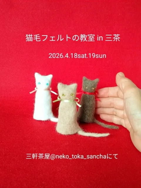 猫毛フェルトの教室 in 三茶　猫毛ちゃん　前後編