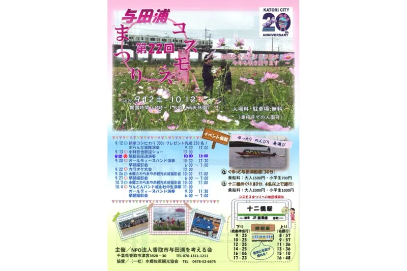 与田浦コスモスまつり