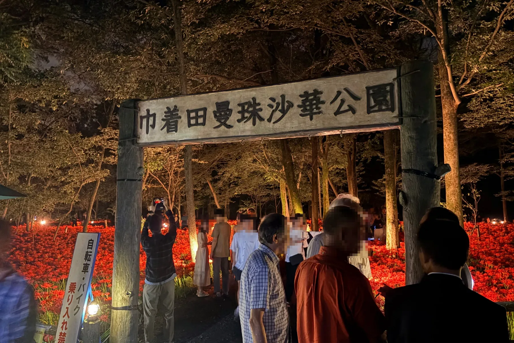 ＜巾着田曼珠沙華まつり＞「巾着田曼珠沙華公園」夜の様子（2026年撮影：レッツエンジョイ東京編集部）