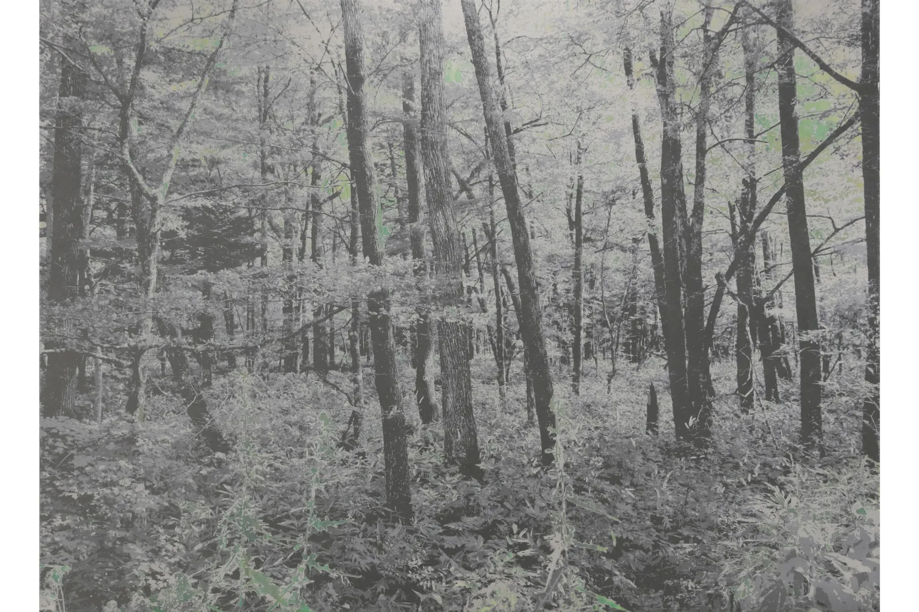Emerging Vision：The New Generation of Japanese Artists_6