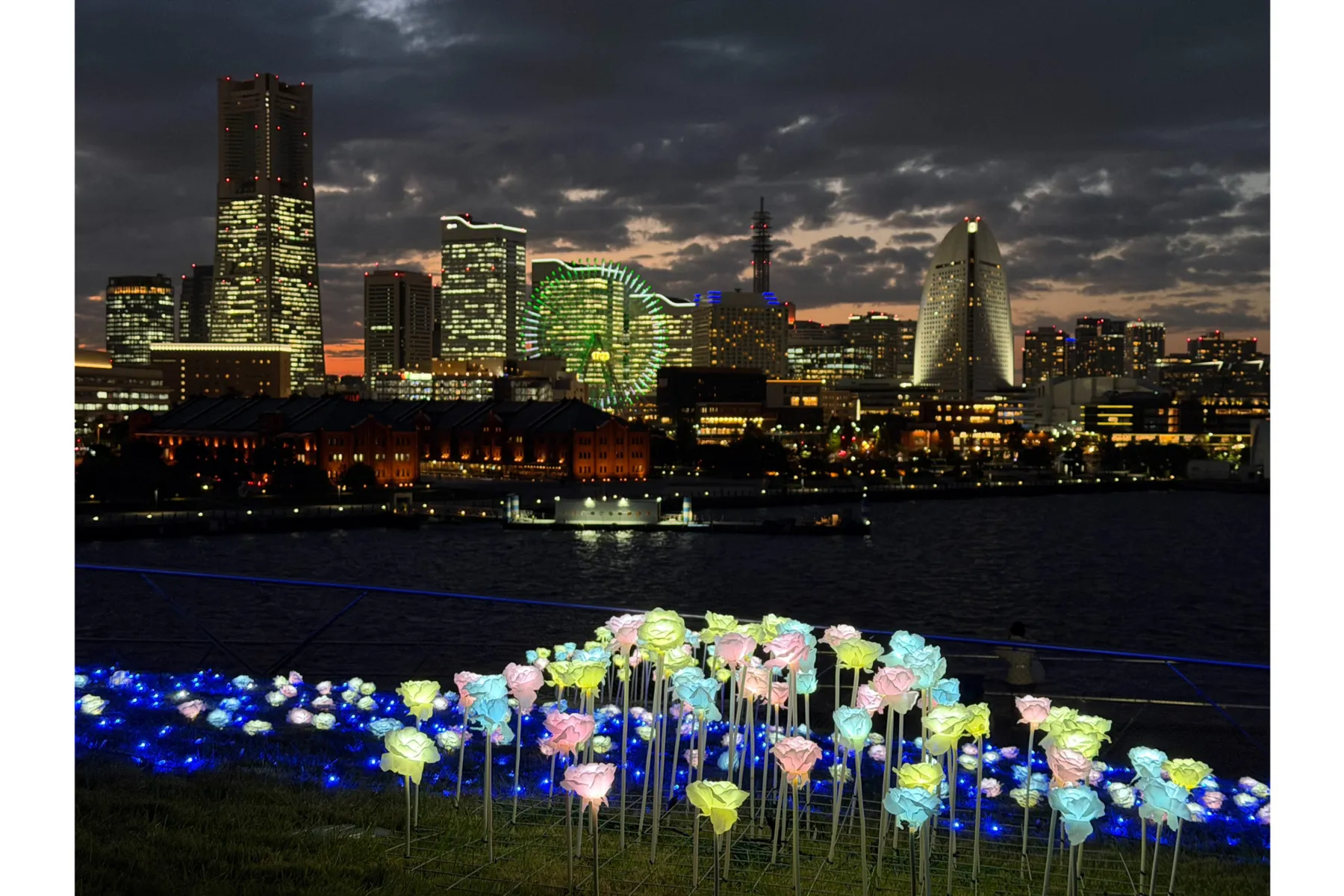 横浜港フォトジェニックイルミネーション2025_1