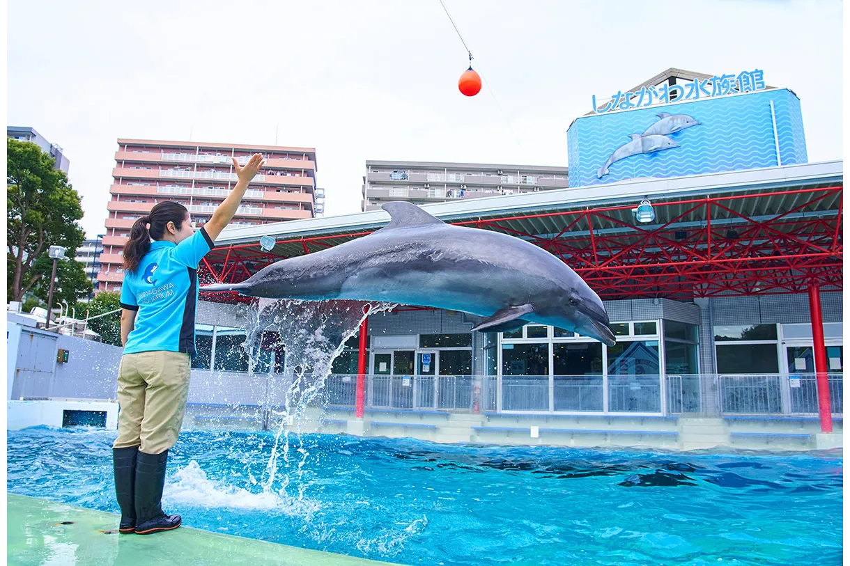 昭和、平成、いつも生き物たちがそばにいた「エモいぞ!!　レトロ展 」_5