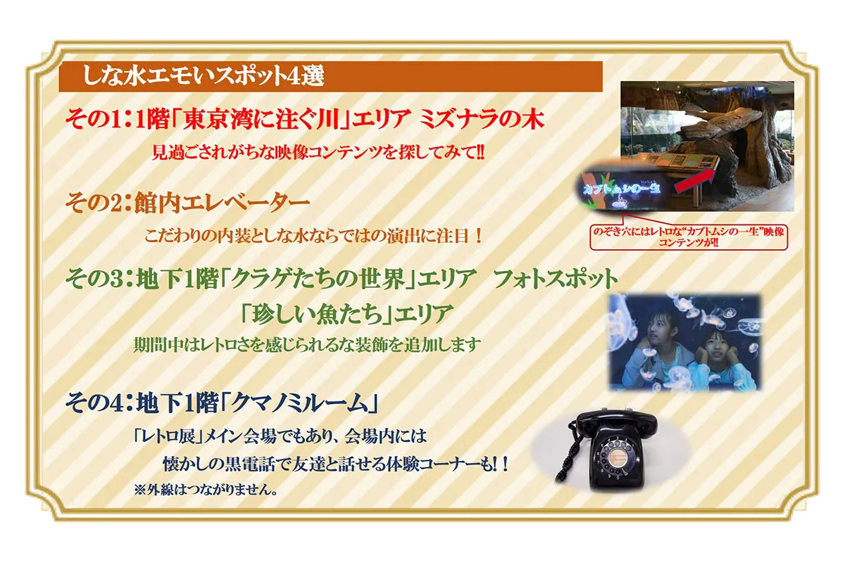 昭和、平成、いつも生き物たちがそばにいた「エモいぞ!!　レトロ展 」_9