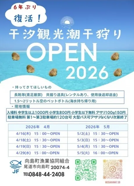 向島干汐(ひしお)海水浴場「観光潮干狩り」