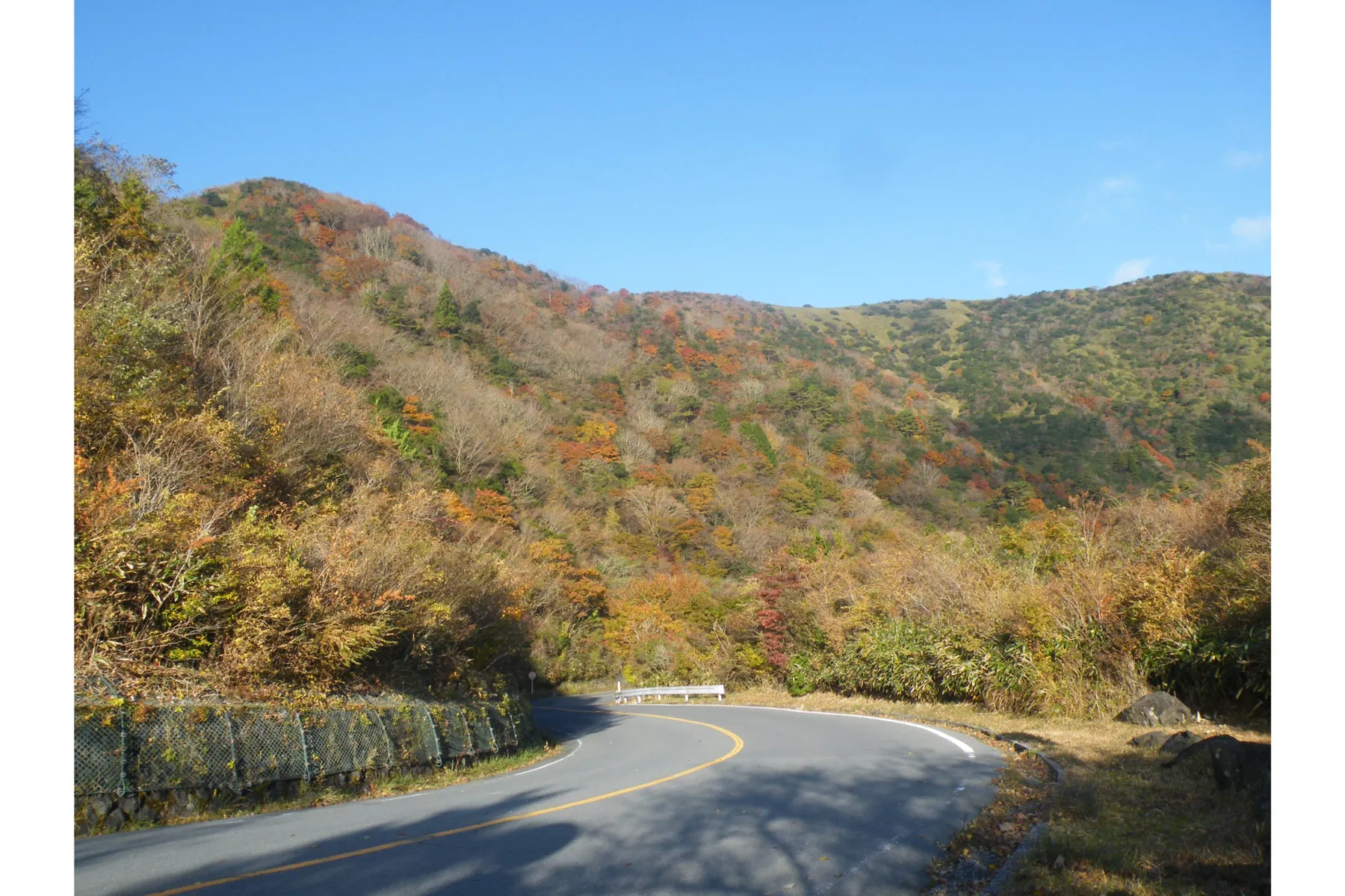 芦ノ湖スカイラインの紅葉情報_1
