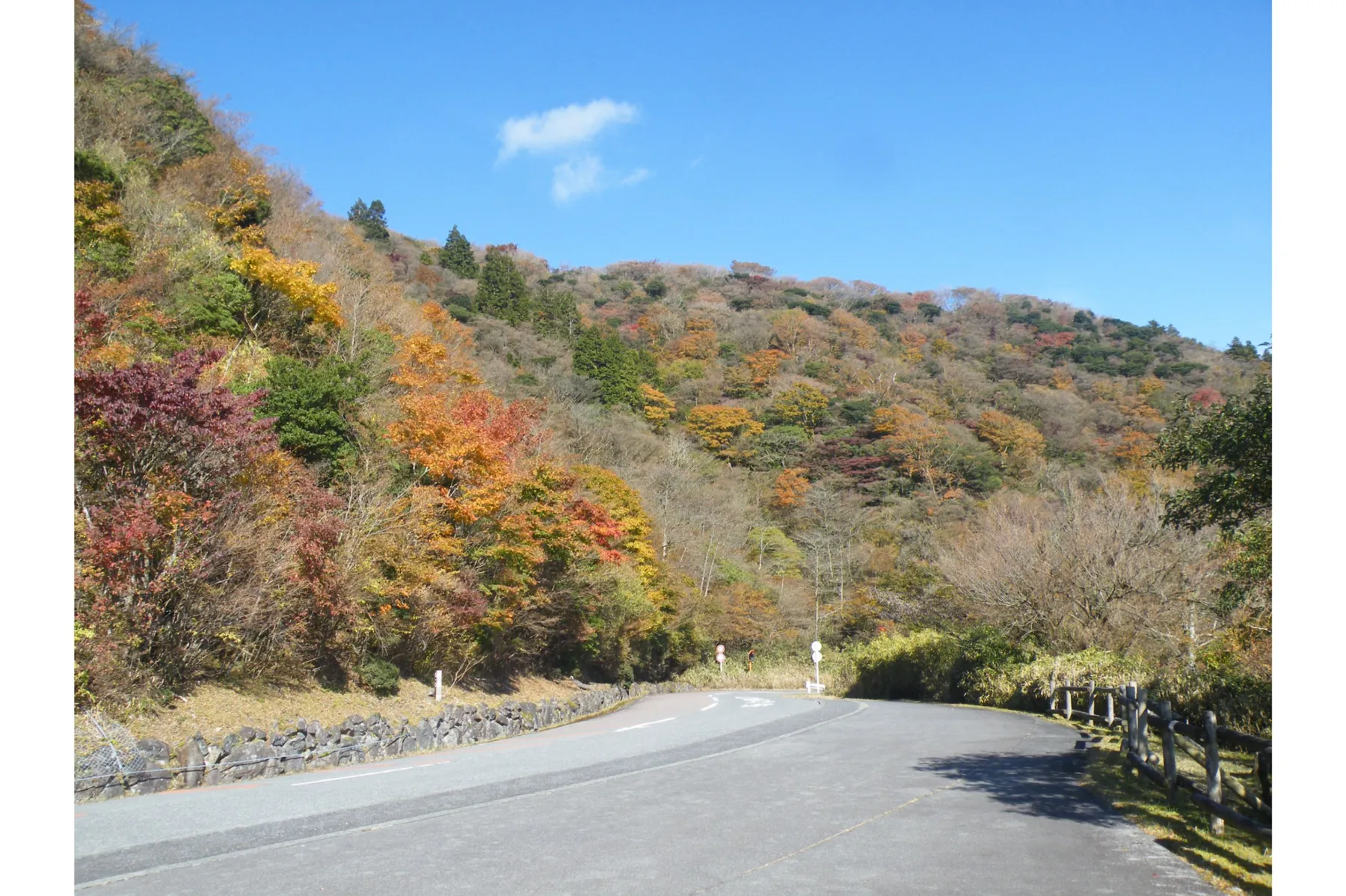 芦ノ湖スカイラインの紅葉情報_2